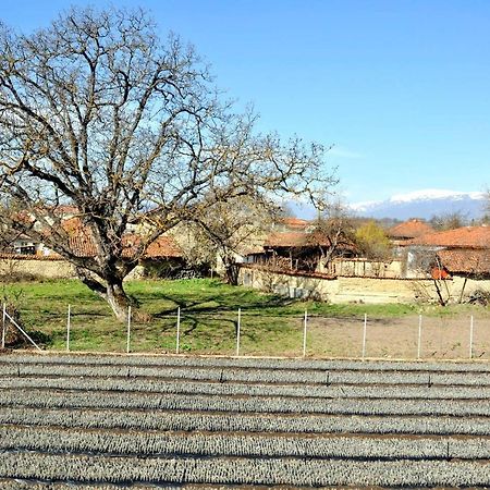 Вила в с. Габарево, Долината на Розите. Gabarevo Экстерьер фото