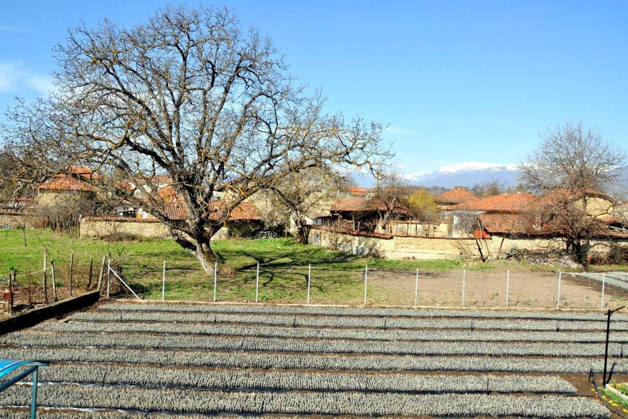 Вила в с. Габарево, Долината на Розите. Gabarevo Экстерьер фото